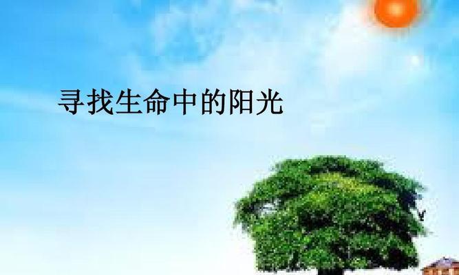 追寻阳光的旅程（一个人的奋斗史）