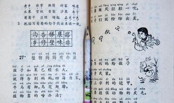 快乐从我的儿时开始（童年记忆带来无尽的欢乐）