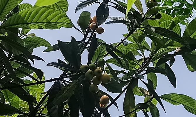 一场意外，永久性记忆（青春年华，无限遗憾）