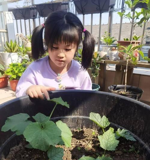 成长之苗——一枝独秀的奇迹