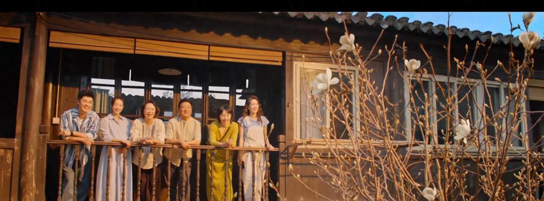 携手寻亲——一家人的团圆故事（一个失散多年的家庭如何重新团聚？）