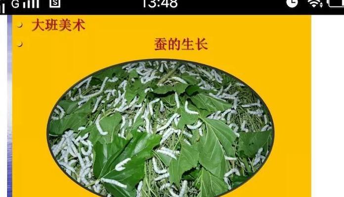 我爱春天——细节中的美丽