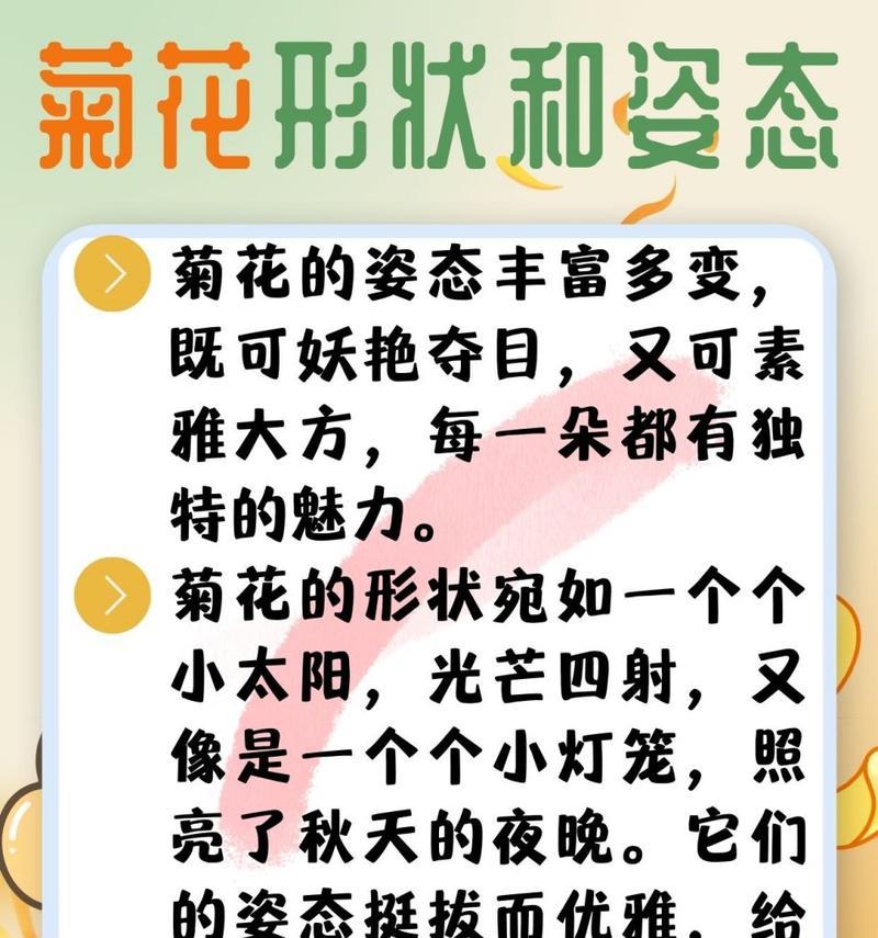 菊花梦（一个女孩的初恋故事）