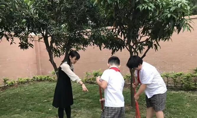 奋斗的轨迹（从汗水中绽放的光芒）