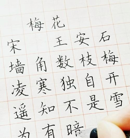 梅花情缘（一段描写美丽与坚韧的故事）
