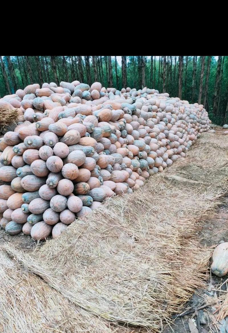 相约鲤鱼之约（寻找文化的美味）