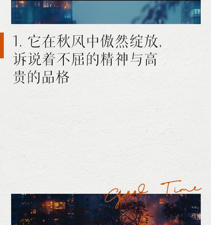不屈之花——以菊花传递的精神（一个女孩的奋斗史）
