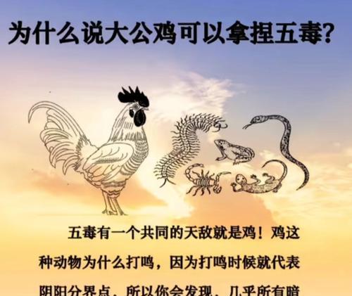 感恩人生（一个关于感恩的小故事）