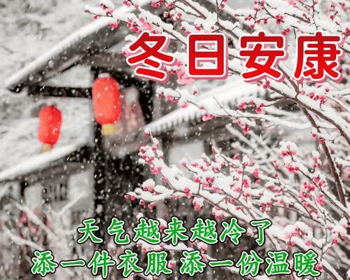 我的快乐冬天（雪地漫步）