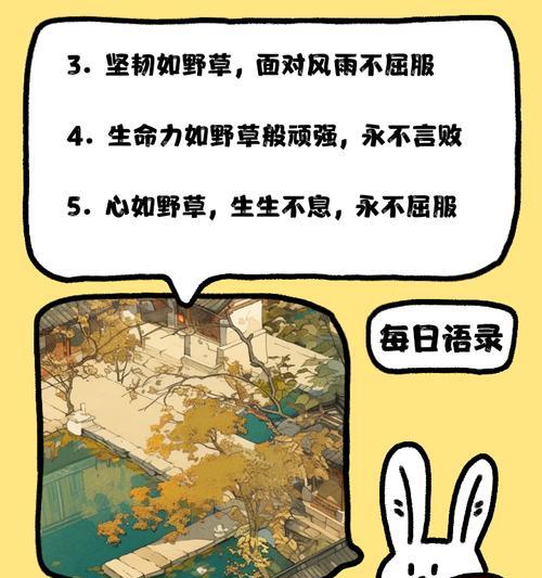 坚持不懈，勇往直前（一个人的奋斗史）