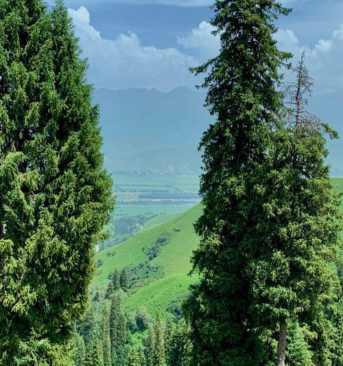 青山绿水（一个人的旅行）