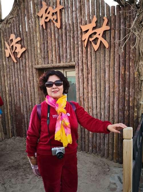 韦斯利的奋斗史——一位拥有不朽精神的成功者（坚持不懈，永不言败——探究韦斯利不朽的精神）