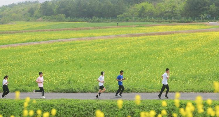 不负春光（用心拥抱生命）