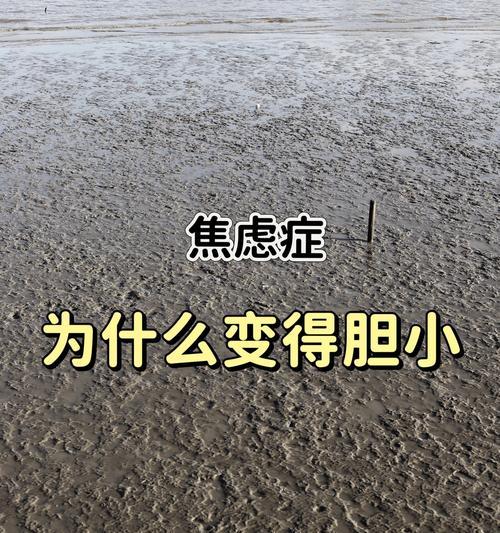 无畏之心（胆怯者的成长历程）