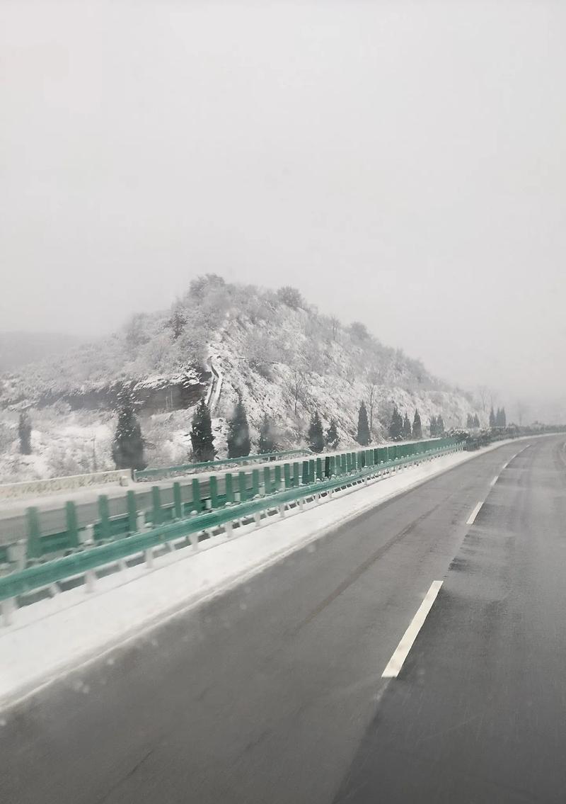 雪中故事（爱情、友情、勇气）