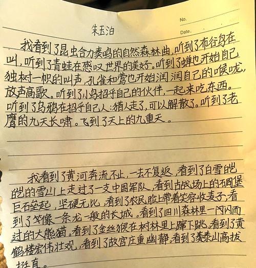 那一年，我成了志愿者（小娟的爱国之路）