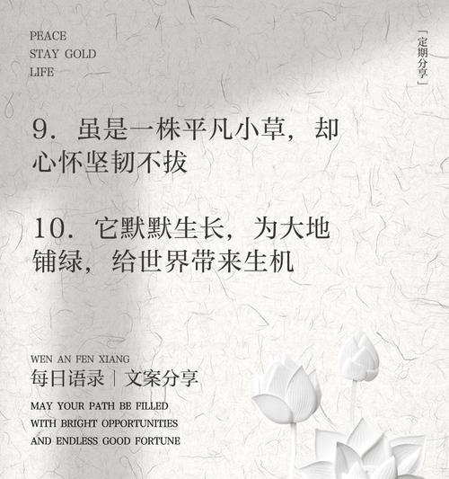 老鼠心智的成长（以老鼠的视角看世界）