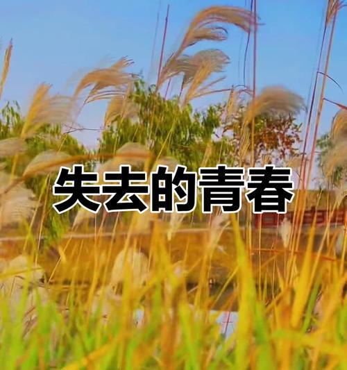 一场别开生面的校园足球比赛（青春的力量）