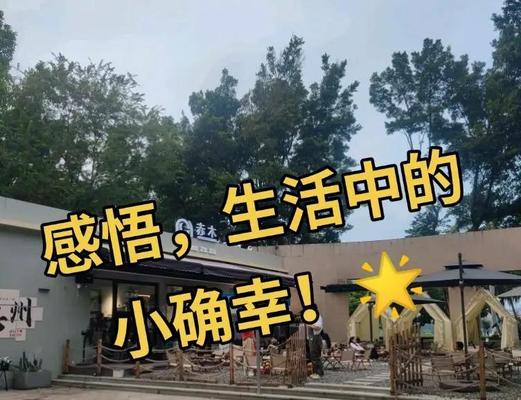 细节里的幸福（一个普通人的平凡生活中找到幸福）