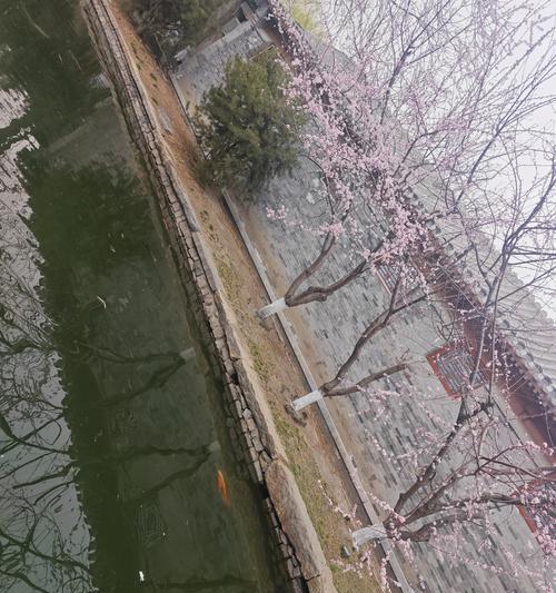 春天的意外（意外与感动）