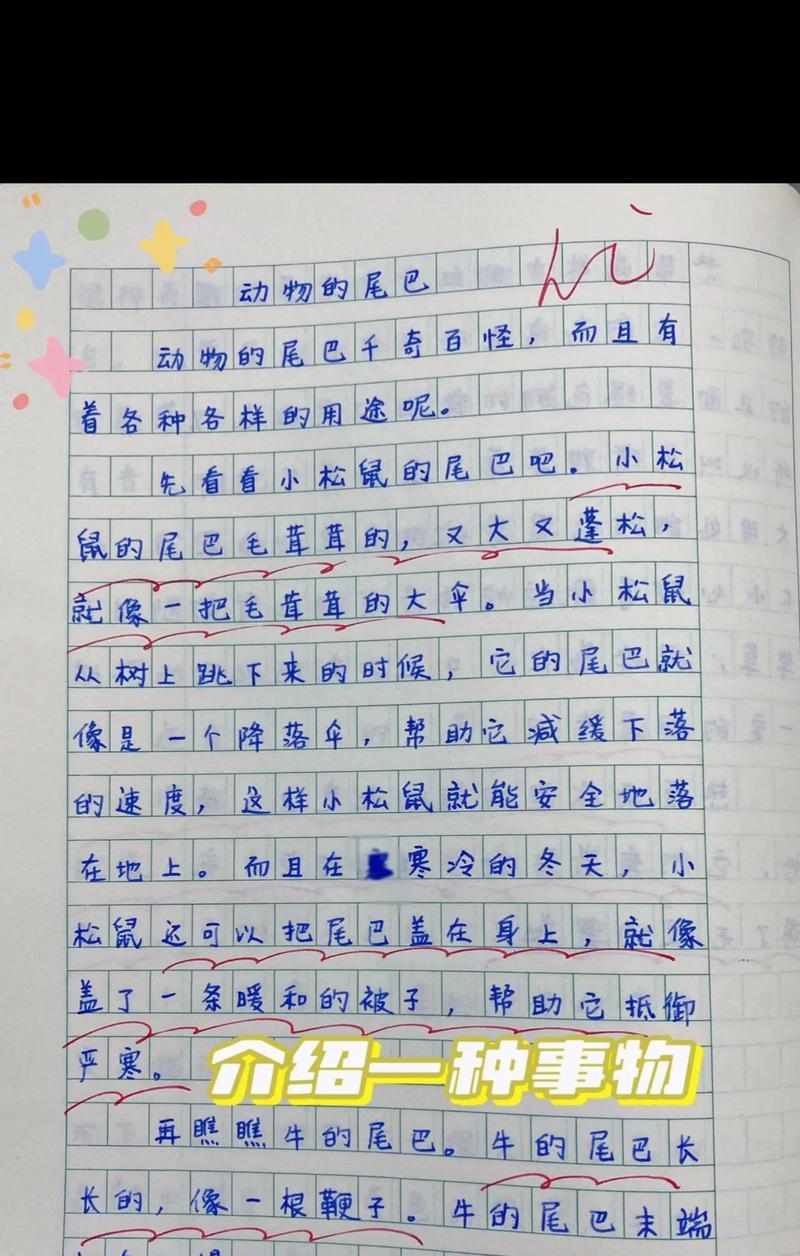 计算机视觉（从零开始学习计算机视觉的奇妙世界）