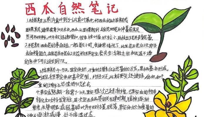 青春的书香（阅读，浸润我青春的每一天）