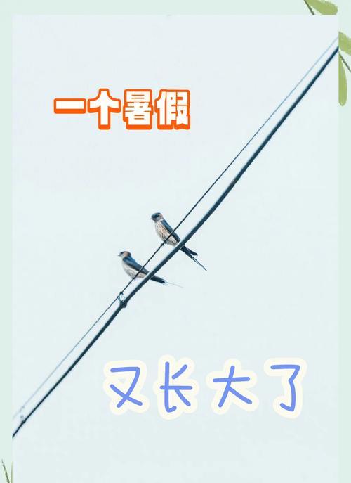 暑假的成长之旅——一位少年的自我探索与成长
