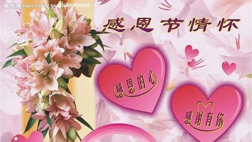 一份爱与耐心，一份温暖和感动（一份爱与耐心，一份温暖和感动）