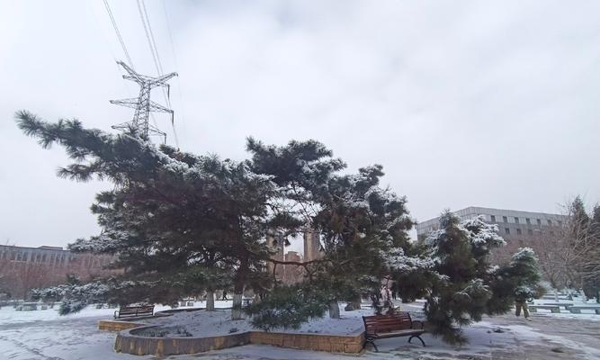 落地的诗意，雪花的情怀（簌簌声中的人生百态）
