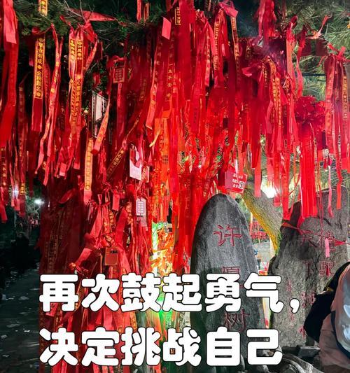 攀登成功的顶峰（坚持和努力是成功的关键）