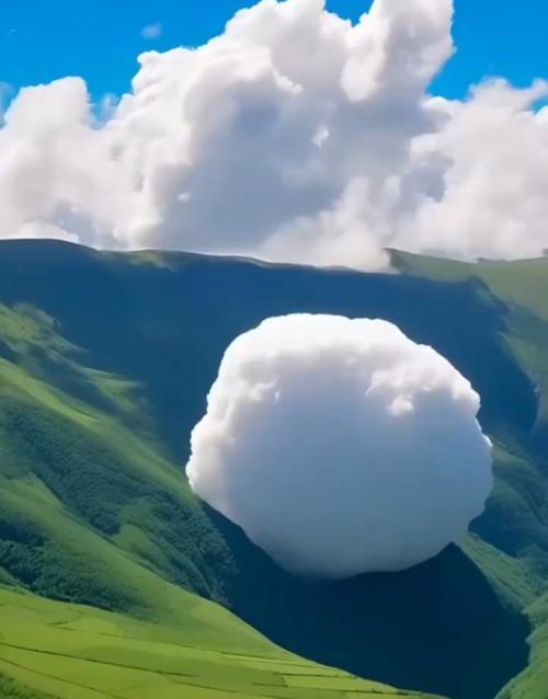 那个寒冬，我们一起温暖生活（那个寒冬，我们一起温暖生活）