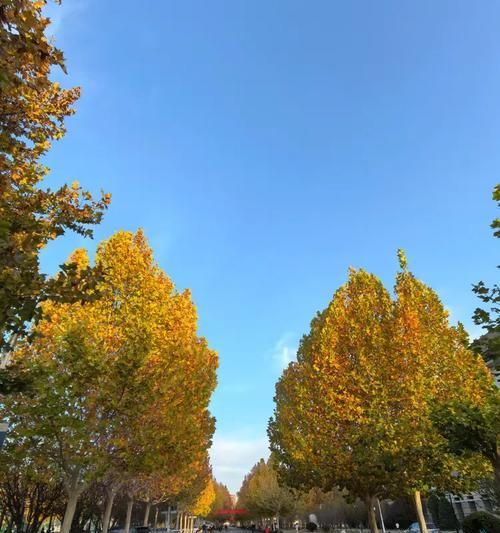 学生们的幸福天堂（学生们的幸福天堂）