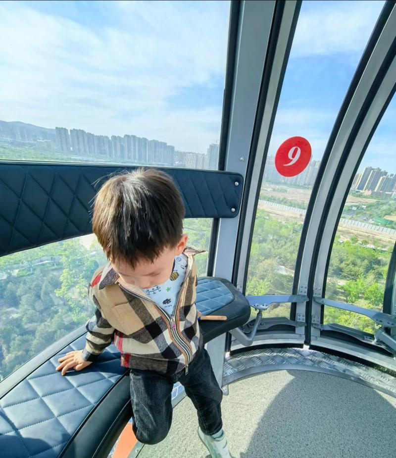 摩天轮上的故事（一段难忘的旅程）