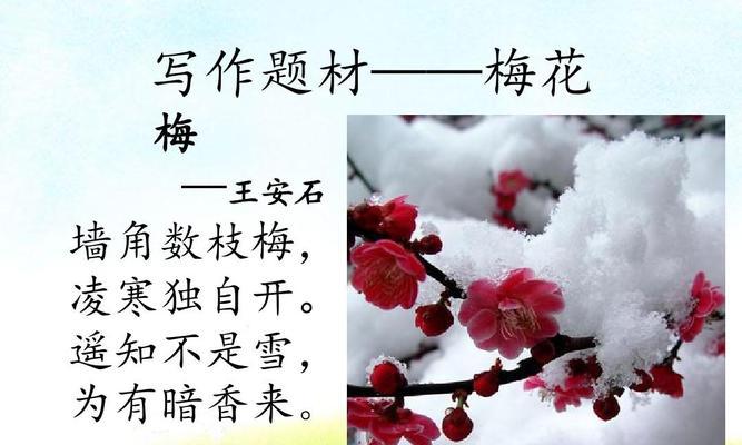 两个鱼缸的故事（用鱼缸来借喻人物）