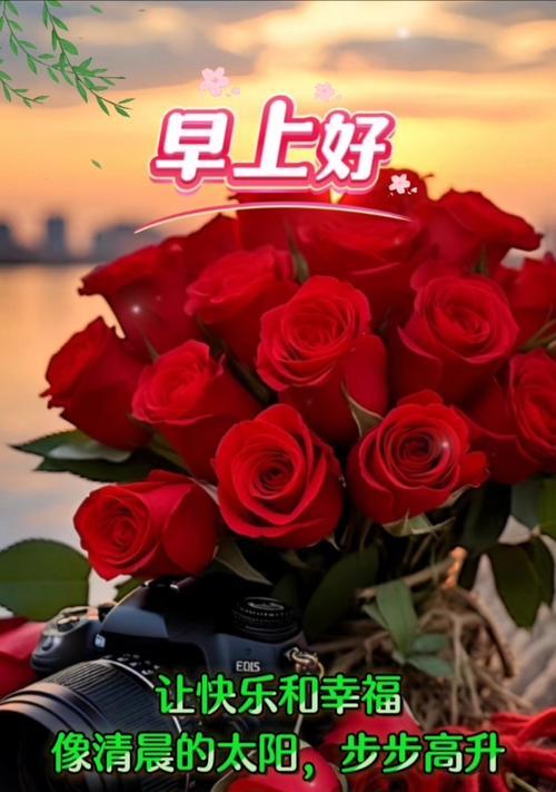 忙碌的生活中寻找幸福和健康（忙碌的生活中寻找幸福和健康）