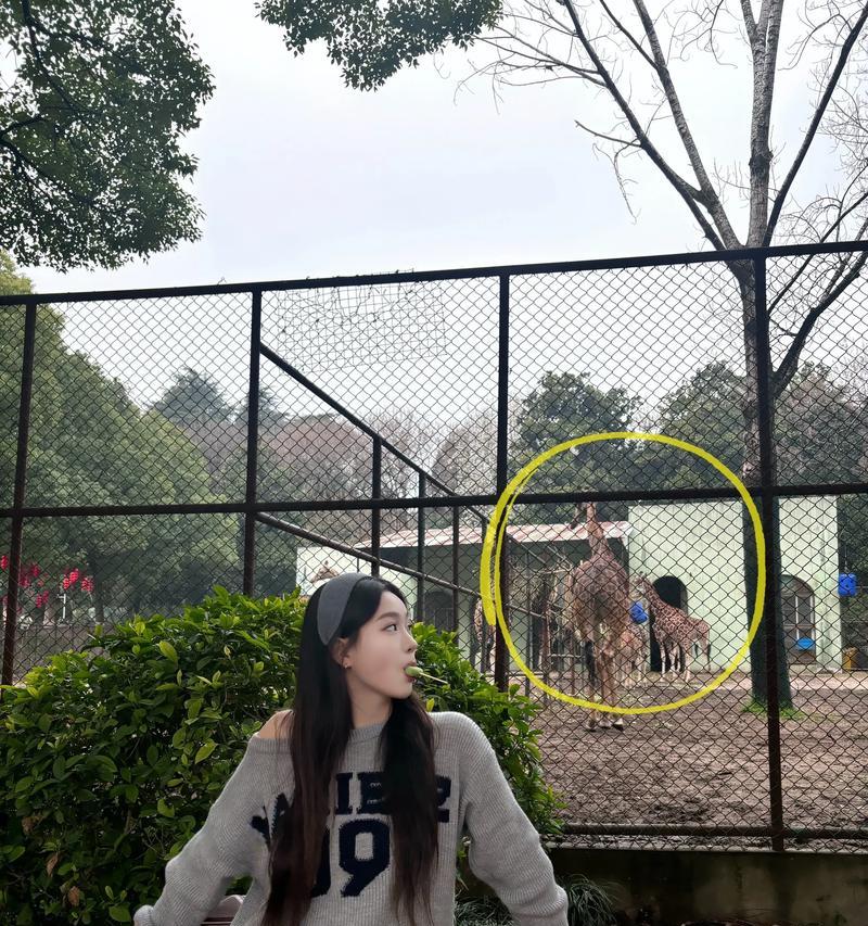追寻大自然的美好（一个女孩的自然之旅）