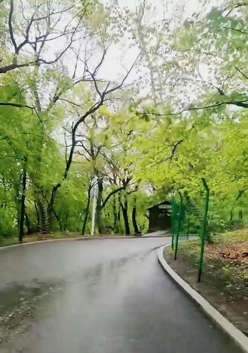 《山林幽香》