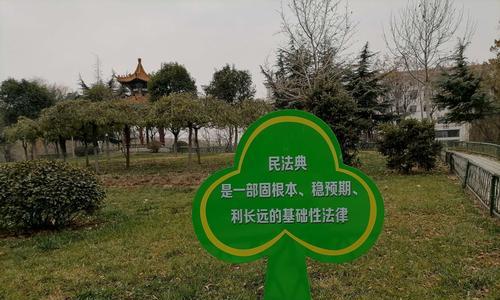 成长伴一路芬芳（一株小草的成长故事）