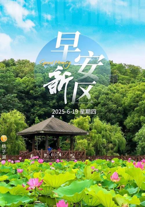 夏日的朝露