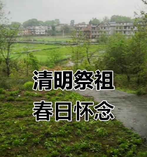 清明时节踏青记（春风拂面，清明踏青，难忘的记忆）