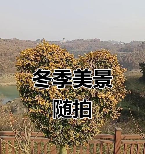 冬日之眼