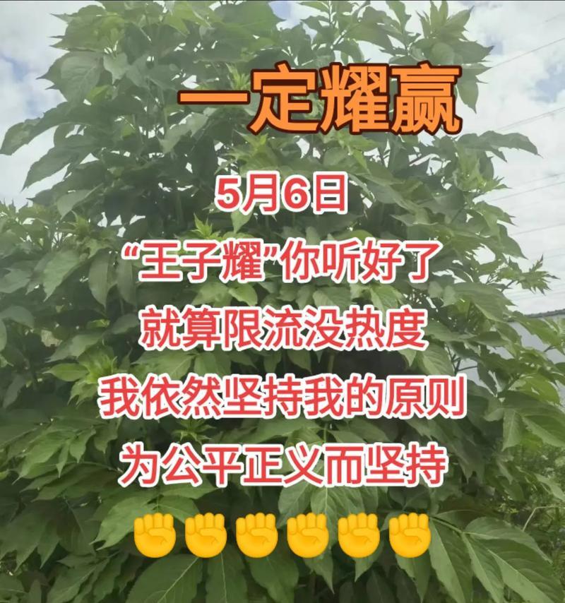 坚持到底，才能看到曙光（一个人的奋斗之路）