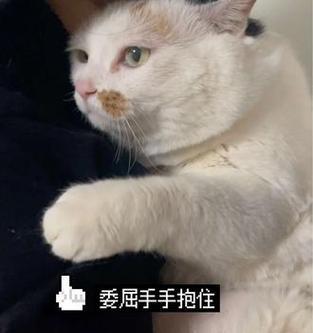 那一瞬间，一切都变了（生活中的转折点）