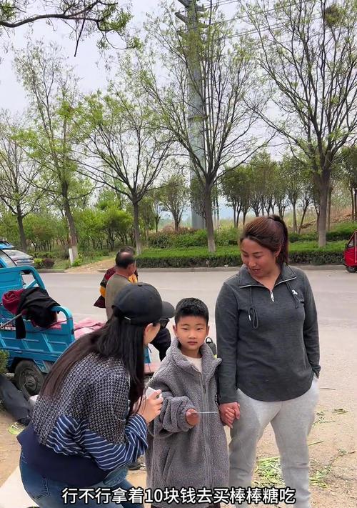 乡村趣事：探秘柿子树下的故事