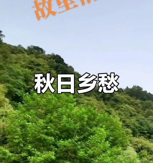 秋风迷人，情意绵绵（在秋天里相遇，漫步在浓浓秋意中）