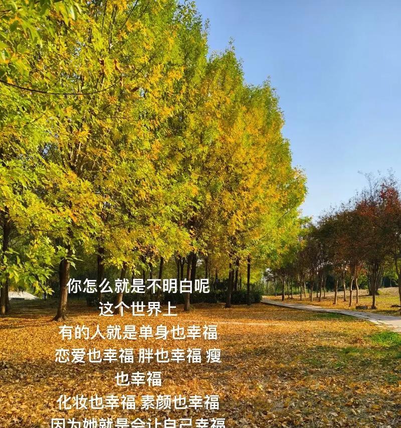 当幸福来敲门（当幸福来敲门）