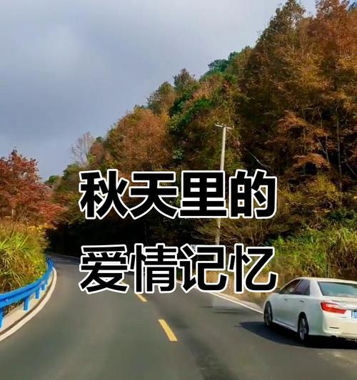 永恒的记忆