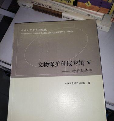 传承中国文化遗产的王大爷（跨越时空的文化守护者）