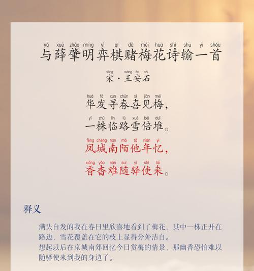 梅花与女儿情（以梅为媒，托付身后事）