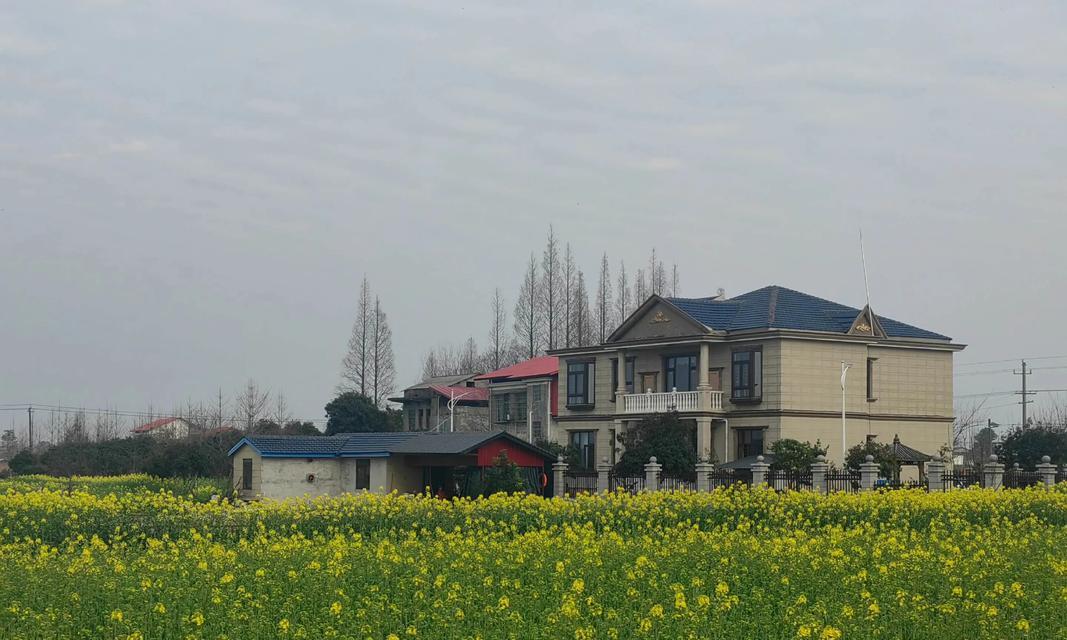 重回童年（熟悉的游乐场）